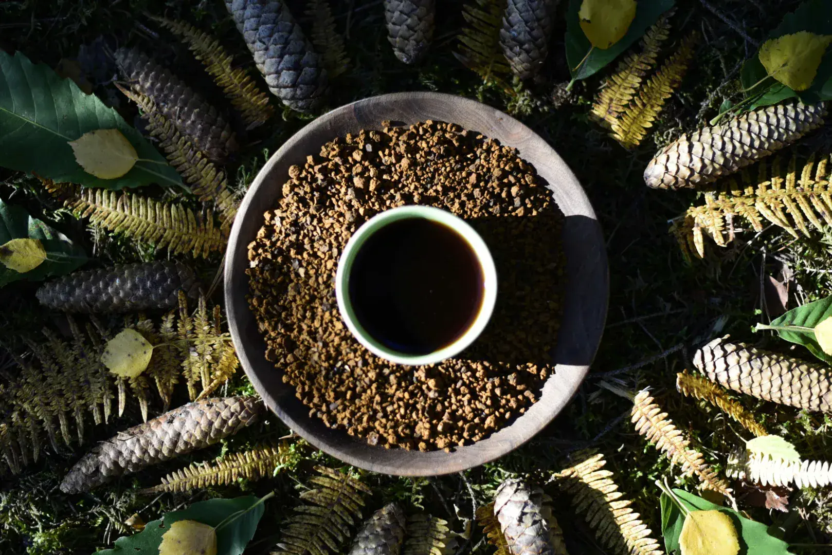 Immunity as a garden.