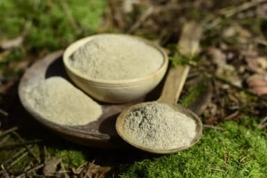 Eleutherococcus — Siberian Ginseng