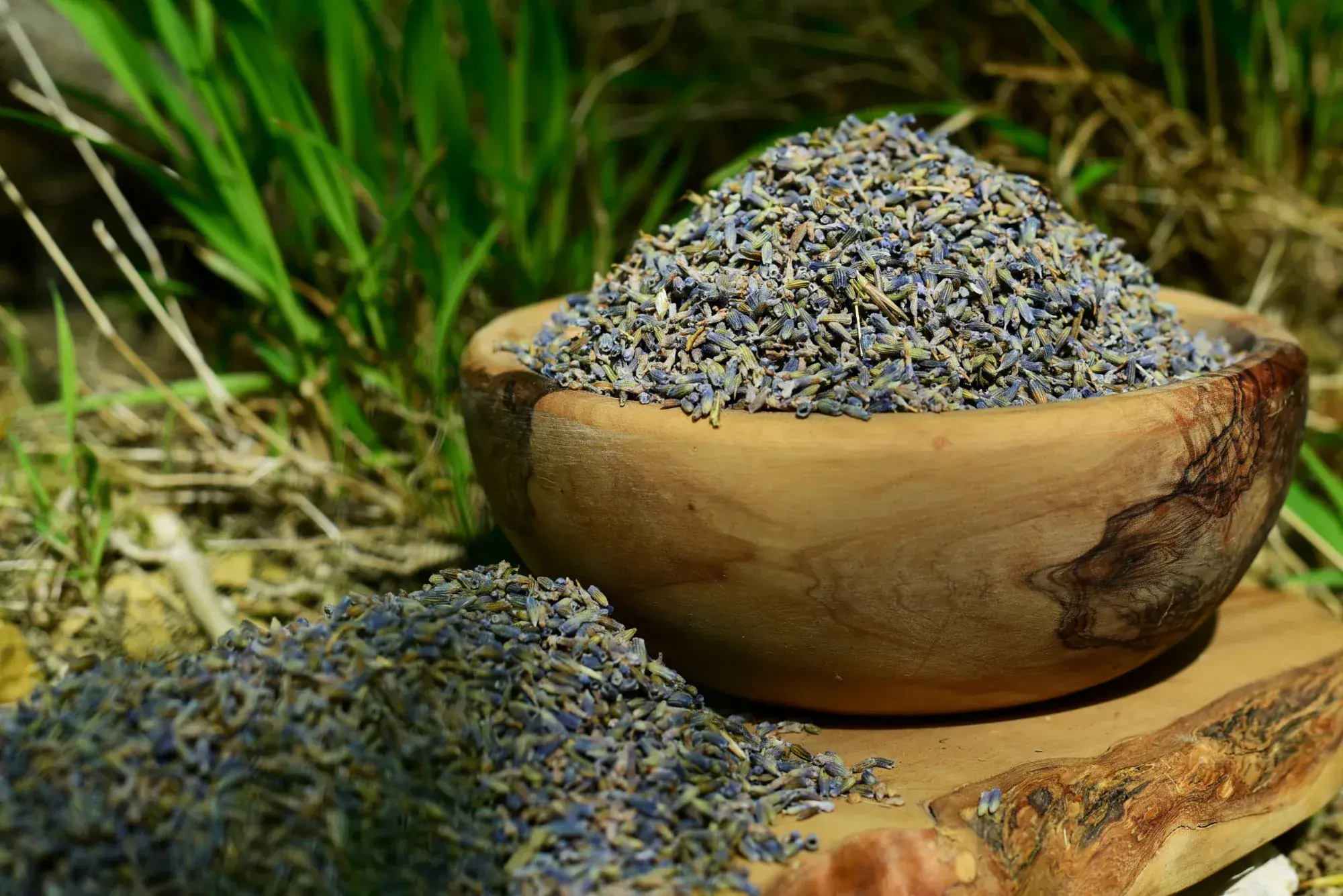 Lavender