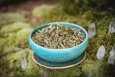 Mexican Tarragon "Yauhtli"