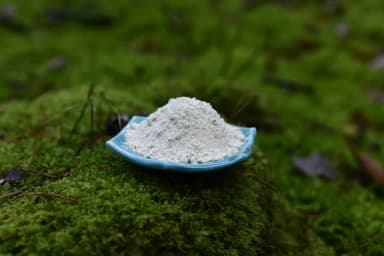 Mucuna Pruriens "Velvet Beans"