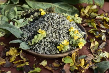 Mullein