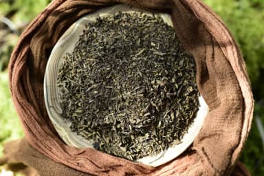 Tulsi - Holy Basil