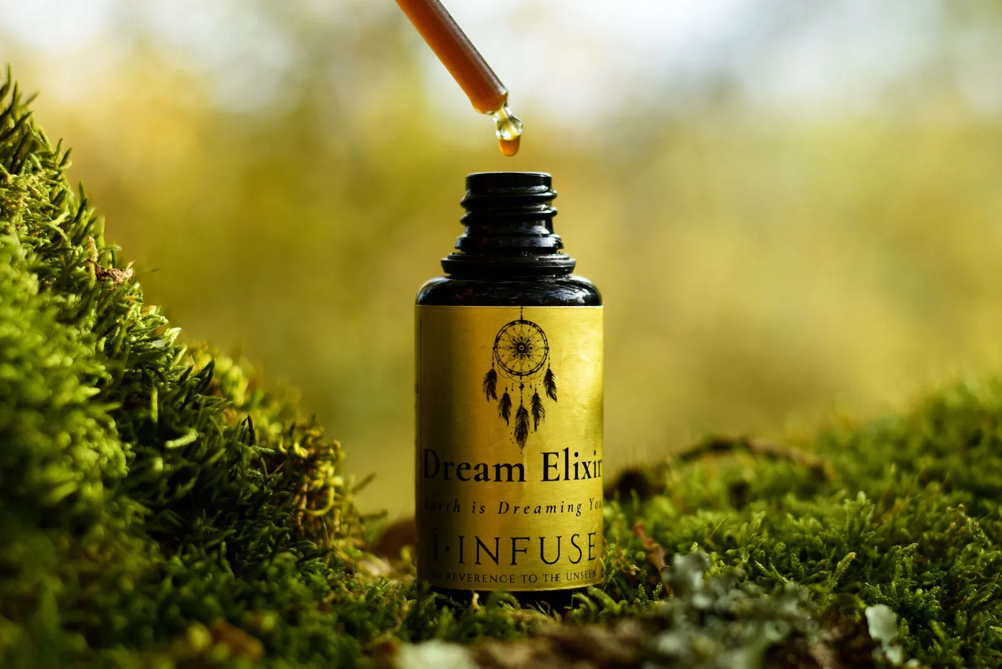 Elixirs - Winter Edition - 2026